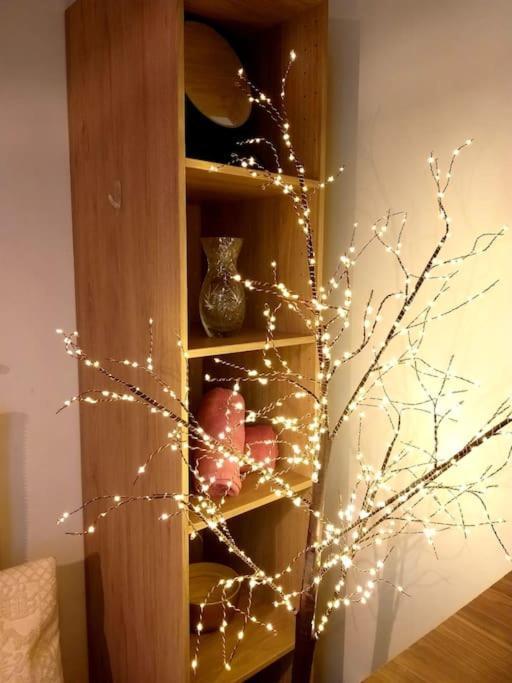 Small Luxurious Room In The Heart Of Saint Germain Paris Eksteriør billede